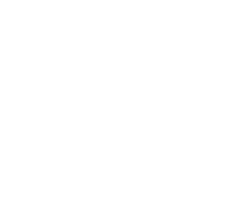 AnL Logo - White